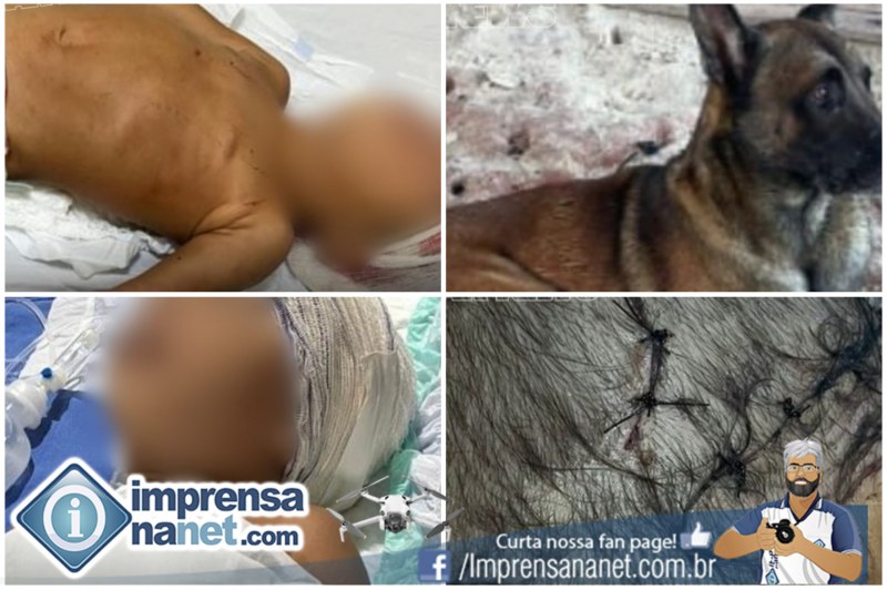 Foto: Internauta Via Whatsapp